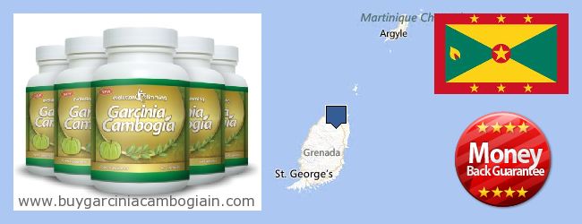 Dónde comprar Garcinia Cambogia Extract en linea Grenada